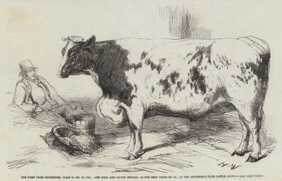 The First Prize Shorthorn, Class 10, No 89, £25; and Gold and Silver Medals, as the Best Steer or Ox, at the Smithfield Club Cattle Show by Harrison William Weir